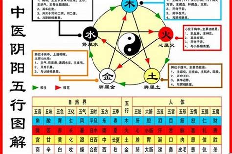 1984鼠五行|1984年属鼠是什么命，84年出生五行属什么